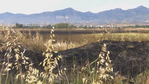&Sigma;&upsilon;&nu;&tau;&omicron;&nu;&iota;&sigma;&mu;ό&sigmaf; &mu;&epsilon; &tau;&alpha; &Eta;&nu;&omega;&mu;έ&nu;&alpha; Έ&theta;&nu;&eta; &gamma;&iota;&alpha; &alpha;&nu;&tau;&iota;&pi;&upsilon;&rho;&iota;&kappa;ή &theta;&omega;&rho;ά&kappa;&iota;&sigma;&eta; &tau;&eta;&sigmaf; &Nu;&epsilon;&kappa;&rho;ή&sigmaf; &Zeta;ώ&nu;&eta;&sigmaf;