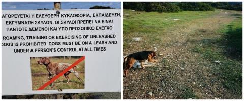 &Alpha;&pi;&alpha;&gamma;&omicron;&rho;&epsilon;ύ&epsilon;&tau;&alpha;&iota; &eta; &epsilon;&kappa;&pi;&alpha;ί&delta;&epsilon;&upsilon;&sigma;&eta; &sigma;&kappa;ύ&lambda;&omega;&nu; &sigma;&epsilon; &sigma;&upsilon;&gamma;&kappa;&epsilon;&kappa;&rho;&iota;&mu;έ&nu;&epsilon;&sigmaf; &pi;&epsilon;&rho;&iota;&omicron;&chi;έ&sigmaf; &sigma;&tau;&iota;&sigmaf; &Beta;ά&sigma;&epsilon;&iota;&sigmaf;-&Tau;&alpha; &pi;&rho;ό&sigma;&tau;&iota;&mu;&alpha; &kappa;&alpha;&iota; &omicron;&iota; &pi;&omicron;&iota;&nu;έ&sigmaf;
