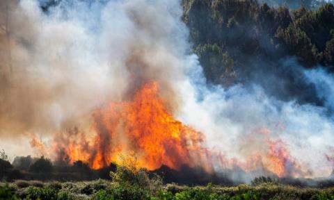 &Sigma;&epsilon; &epsilon;&tau;&omicron;&iota;&mu;ό&tau;&eta;&tau;&alpha; &omicron;&iota; &kappa;&omicron;&iota;&nu;ό&tau;&eta;&tau;&epsilon;&sigmaf; &gamma;&iota;&alpha; &pi;&epsilon;&rho;ί&omicron;&delta;&omicron; &pi;&upsilon;&rho;&kappa;&alpha;&gamma;&iota;ώ&nu;-&Pi;ά&nu;&omega; &alpha;&pi;ό 80 &kappa;&omicron;&iota;&nu;ό&tau;&eta;&tau;&epsilon;&sigmaf; &pi;&rho;&alpha;&gamma;&mu;&alpha;&tau;&omicron;&pi;&omicron;ί&eta;&sigma;&alpha;&nu; ή έ&chi;&omicron;&upsilon;&nu; &xi;&epsilon;&kappa;&iota;&nu;ή&sigma;&epsilon;&iota; &kappa;&alpha;&theta;&alpha;&rho;&iota;&sigma;&mu;ό &pi;&epsilon;&rho;&iota;&omicron;&chi;ώ&nu;
