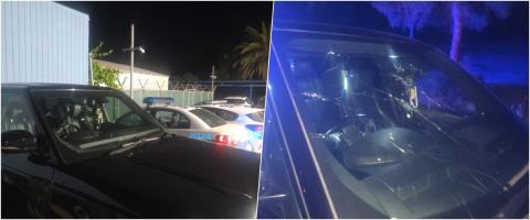 Έ&sigma;&tau;&eta;&sigma;&alpha;&nu; &kappa;&alpha;&rho;&tau;έ&rho;&iota; &sigma;&tau;&omicron;&nu; &pi;&rho;ό&epsilon;&delta;&rho;&omicron; &tau;&eta;&sigmaf; &laquo;&Phi;&omega;&nu;ή&sigmaf; &tau;&omega;&nu; &Kappa;&tau;&eta;&nu;&omicron;&tau;&rho;ό&phi;&omega;&nu;&raquo;, &tau;&omicron;&upsilon; &alpha;&nu;έ&kappa;&omicron;&psi;&alpha;&nu; &tau;&omicron;&nu; &delta;&rho;ό&mu;&omicron; &kappa;&alpha;&iota; &tau;&omicron;&nu; &alpha;&pi;&epsilon;ί&lambda;&eta;&sigma;&alpha;&nu; &mu;&epsilon; &pi;&iota;&sigma;&tau;ό&lambda;&iota;-&Zeta;&eta;&mu;&iota;έ&sigmaf; &sigma;&tau;&omicron; ό&chi;&eta;&mu;&alpha; &tau;&omicron;&upsilon;