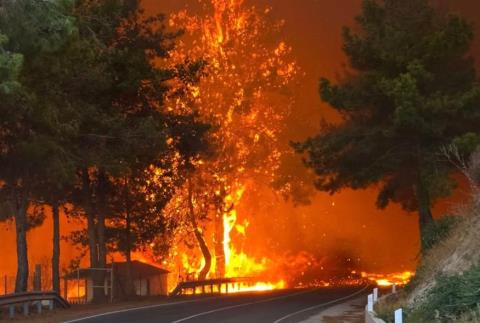 Σε πλήρη ετοιμότητα για την αντιπυρική περίοδο η Κύπρος-Σε δράση 13 πτητικά μέσα, έκκληση στους πολίτες λόγω αυξημένης βλάστησης
