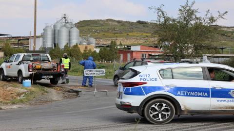 Θανατώθηκαν πάνω από 6.500 ζώα λόγω του αφθώδους πυρετού-Ολοκληρώθηκε χωρίς απρόοπτα η διαδικασία