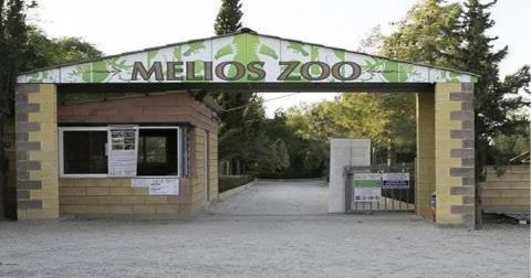 &Pi;&omicron;&lambda;ύ&omega;&rho;&eta; &kappa;&alpha;&tau;ά&theta;&epsilon;&sigma;&eta; &alpha;&pi;ό &tau;&omicron;&nu; &iota;&delta;&iota;&omicron;&kappa;&tau;ή&tau;&eta; &tau;&omicron;&upsilon; Melios Zoo Park &mu;&epsilon; 16 &sigma;&eta;&mu;&epsilon;ί&alpha;-&Kappa;&alpha;&tau;ή&gamma;&gamma;&epsilon;&iota;&lambda;&epsilon; &kappa;&rho;&alpha;&tau;&iota;&kappa;&omicron;ύ&sigmaf; &lambda;&epsilon;&iota;&tau;&omicron;&upsilon;&rho;&gamma;&omicron;ύ&sigmaf; &gamma;&iota;&alpha; &pi;&epsilon;&iota;&theta;&alpha;&rho;&chi;&iota;&kappa;ά &kappa;&alpha;&iota; &pi;&omicron;&iota;&nu;&iota;&kappa;ά &alpha;&delta;