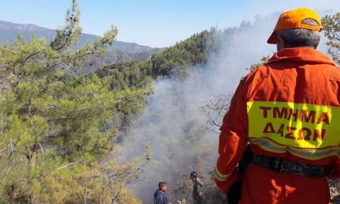&Kappa;&alpha;&kappa;ό&beta;&omicron;&upsilon;&lambda;&eta; &epsilon;&nu;έ&rho;&gamma;&epsilon;&iota;&alpha; &pi;ί&sigma;&omega; &alpha;&pi;ό &phi;&omega;&tau;&iota;ά &sigma;&epsilon; &chi;&omega;&rho;&iota;ό &sigma;&tau;&eta;&nu; &Pi;ά&phi;&omicron;-&Epsilon;&nu;&tau;&omicron;&pi;ί&sigma;&tau;&eta;&kappa;&alpha;&nu; &tau;&rho;ί&alpha; &sigma;&eta;&mu;&epsilon;ί&alpha; έ&nu;&alpha;&rho;&xi;&eta;&sigmaf;
