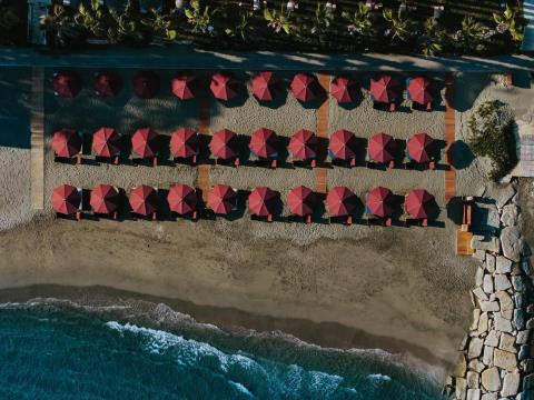 Amor Beach Restaurant: &Omicron; &nu;έ&omicron;&sigmaf; all-day &pi;&alpha;&rho;&alpha;&theta;&alpha;&lambda;ά&sigma;&sigma;&iota;&omicron;&sigmaf; &pi;&rho;&omicron;&omicron;&rho;&iota;&sigma;&mu;ό&sigmaf; &tau;&eta;&sigmaf; &Lambda;&epsilon;&mu;&epsilon;&sigma;&omicron;ύ