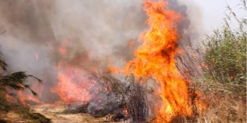 &Beta;ί&nu;&tau;&epsilon;&omicron;: &Pi;&upsilon;&rho;&kappa;&alpha;&gamma;&iota;ά &sigma;&epsilon; &pi;&alpha;&rho;ά&nu;&omicron;&mu;&omicron; &sigma;&kappa;&upsilon;&beta;&alpha;&lambda;ό&tau;&omicron;&pi;&omicron; έ&theta;&epsilon;&sigma;&epsilon; &sigma;&epsilon; &sigma;&upsilon;&nu;&alpha;&gamma;&epsilon;&rho;&mu;ό &Tau;&mu;ή&mu;&alpha; &Delta;&alpha;&sigma;ώ&nu; &kappa;&alpha;&iota; &Pi;&upsilon;&rho;&omicron;&sigma;&beta;&epsilon;&sigma;&tau;&iota;&kappa;ή