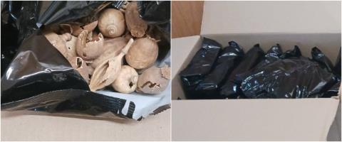 Ά&lambda;&lambda;&alpha; 6,5 &kappa;&iota;&lambda;ά &nu;&alpha;&rho;&kappa;&omega;&tau;&iota;&kappa;ά &pi;&alpha;&pi;&alpha;&rho;&omicron;ύ&nu;&alpha;&sigmaf; &epsilon;&nu;&tau;&omicron;&pi;ί&sigma;&tau;&eta;&kappa;&alpha;&nu; &sigma;&epsilon; &Alpha;&mu;&mu;ό&chi;&omega;&sigma;&tau;&omicron; &kappa;&alpha;&iota; &Pi;ά&phi;&omicron;-Έ&phi;&tau;&alpha;&sigma;&alpha;&nu; &sigma;&upsilon;&nu;&omicron;&lambda;&iota;&kappa;ά &tau;&alpha; 58 &kappa;&iota;&lambda;ά &kappa;&alpha;&iota; 13 &sigma;&upsilon;&lambda;&lambda;ή&psi;&epsilon;&iota;&sigmaf;