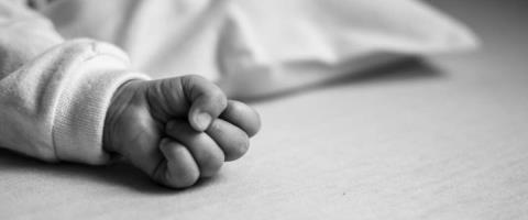 &Omicron;&iota; &epsilon;&pi;&iota;&sigma;&tau;&eta;&mu;&omicron;&nu;&iota;&kappa;έ&sigmaf; &epsilon;&xi;&epsilon;&tau;ά&sigma;&epsilon;&iota;&sigmaf; &theta;&alpha; &delta;&epsilon;ί&xi;&omicron;&upsilon;&nu; &tau;&alpha; &alpha;ί&tau;&iota;&alpha; &theta;&alpha;&nu;ά&tau;&omicron;&upsilon; &tau;&omicron;&upsilon; &beta;&rho;έ&phi;&omicron;&upsilon;&sigmaf; &sigma;&tau;&eta; &Lambda;&epsilon;&mu;&epsilon;&sigma;ό-&Lambda;ή&phi;&theta;&eta;&kappa;&alpha;&nu; &delta;&epsilon;ί&gamma;&mu;&alpha;&tau;&alpha; &kappa;&alpha;&tau;ά &tau;&eta; &nu;&epsilon;&kappa;&rho;&omicron;&tau;&omicron;&mu;ή