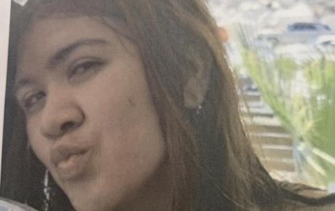 &Delta;&epsilon;&kappa;&alpha;&pi;&epsilon;&nu;&tau;ά&chi;&rho;&omicron;&nu;&eta; &alpha;&pi;&omicron;&upsilon;&sigma;&iota;ά&zeta;&epsilon;&iota; &alpha;&pi;ό &tau;&omicron;&nu; &chi;ώ&rho;&omicron; &delta;&iota;&alpha;&mu;&omicron;&nu;ή&sigmaf; &tau;&eta;&sigmaf; &sigma;&tau;&eta;&nu; Έ&gamma;&kappa;&omega;&mu;&eta; (pic)