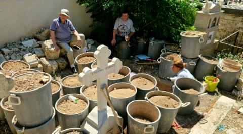 &Psi;ά&chi;&nu;&omicron;&upsilon;&nu; &xi;&alpha;&nu;ά &tau;&alpha; &omicron;&sigma;&tau;ά &tau;&omicron;&upsilon; &Beta;&alpha;&sigma;ί&lambda;&eta; &Mu;&iota;&chi;&alpha;&eta;&lambda;ί&delta;&eta; &sigma;&tau;&eta; &Lambda;&epsilon;&mu;&epsilon;&sigma;ό &alpha;&nu;ή&mu;&epsilon;&rho;&alpha; &tau;&eta;&sigmaf; 9&eta;&sigmaf; &Iota;&omicron;&upsilon;&lambda;ί&omicron;&upsilon;-&Epsilon;&kappa;&tau;&alpha;&phi;έ&sigmaf; &sigma;&tau;&omicron;&nu; &tau;ά&phi;&omicron; &tau;&omicron;&upsilon; &laquo;ά&gamma;&nu;&omega;&sigma;&tau;&omicron;&upsilon; &nu;&epsilon;&kappa;&rho;&omicron;ύ&raquo;