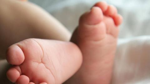&Epsilon;&gamma;&kappa;&rho;ί&theta;&eta;&kappa;&epsilon; &omicron; &pi;&rho;&omicron;ϋ&pi;&omicron;&lambda;&omicron;&gamma;&iota;&sigma;&mu;ό&sigmaf; &tau;&omicron;&upsilon; &Sigma;&upsilon;&mu;&beta;&omicron;&upsilon;&lambda;ί&omicron;&upsilon; &Iota;&alpha;&tau;&rho;&iota;&kappa;ώ&sigmaf; &Upsilon;&pi;&omicron;&beta;&omicron;&eta;&theta;&omicron;ύ&mu;&epsilon;&nu;&eta;&sigmaf; &Alpha;&nu;&alpha;&pi;&alpha;&rho;&alpha;&gamma;&omega;&gamma;ή&sigmaf;-&Alpha;&iota;&chi;&mu;έ&sigmaf; &Delta;&eta;&mu;&eta;&tau;&rho;ί&omicron;&upsilon; &gamma;&iota;&alpha; &tau;&eta;&nu; &kappa;&alpha;&theta;&upsilon;&sigma;&tau;έ&rho;&eta;&sigma;&eta;, &laquo;έ&sigma;&pi;&alpha;&sigma;&epsilon; &rho;&epsilon;&kappa;ό&rho;